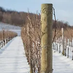Il Roncal Wine - For Wine Lovers Κατάλυμα σε φάρμα