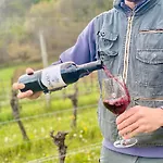 Il Roncal Wine - For Wine Lovers