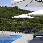 Il Roncal Wine - For Wine Lovers