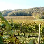 مزرعة للإقامة Il Roncal Wine - For Wine Lovers Cividale del Friuli