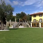 Il Roncal Wine - For Wine Lovers