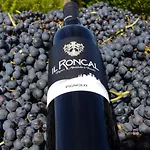 Il Roncal Wine - For Wine Lovers *
