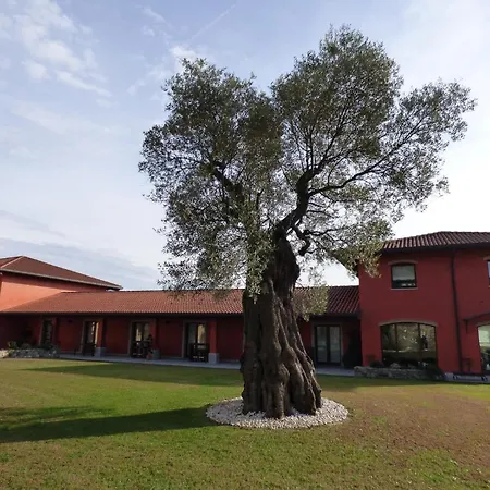 Farm stay Il Roncal Wine - For Wine Lovers *