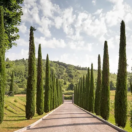 Il Roncal Wine - For Wine Lovers * Cividale Del Friuli
