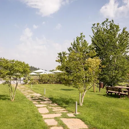 Il Roncal Wine - For Wine Lovers 팜스테이 시비달레델프리울리