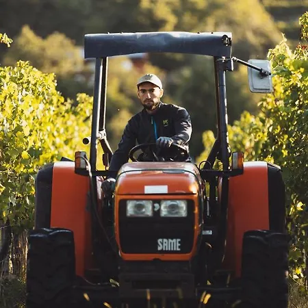 Il Roncal Wine - For Wine Lovers Lantgård Cividale del Friuli