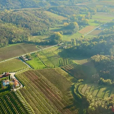 Il Roncal Wine - For Wine Lovers 팜스테이