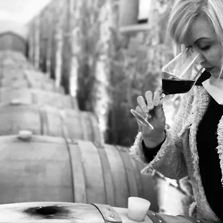 Il Roncal Wine - For Wine Lovers * Cividale del Friuli