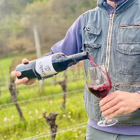 Il Roncal Wine - For Wine Lovers Only