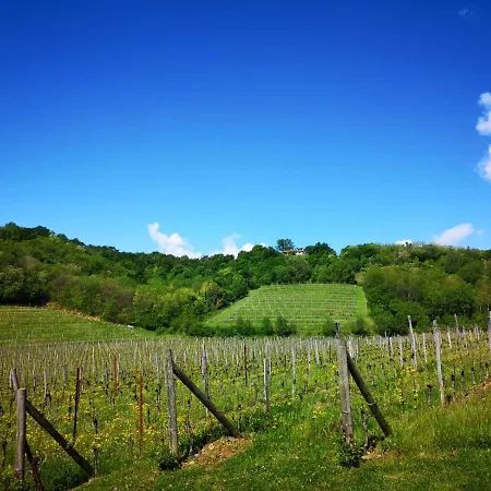 Farm stay Il Roncal Wine - For Wine Lovers *