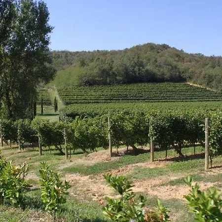 Agroturismo Il Roncal Wine - For Wine Lovers Only