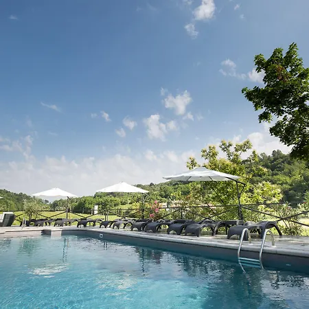 Il Roncal Wine - For Wine Lovers *