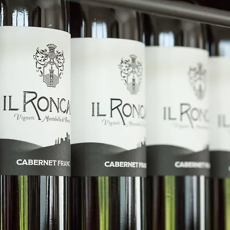 Il Roncal Wine - For Wine Lovers 팜스테이 시비달레델프리울리