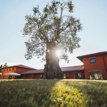 Il Roncal Wine - For Wine Lovers 시비달레델프리울리