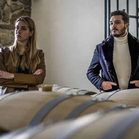 Il Roncal Wine - For Wine Lovers 팜스테이 시비달레델프리울리