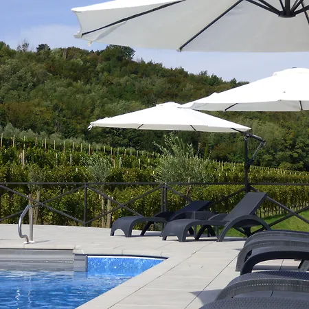 Il Roncal Wine - For Wine Lovers