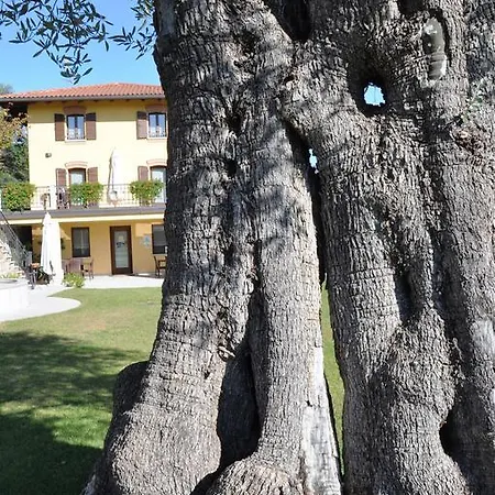 Il Roncal Wine - For Wine Lovers Only Bauernhof Cividale del Friuli
