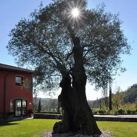Il Roncal Wine - For Wine Lovers Farm stay Cividale Del Friuli