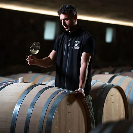 Il Roncal Wine - For Wine Lovers Only Bauernhof Cividale del Friuli