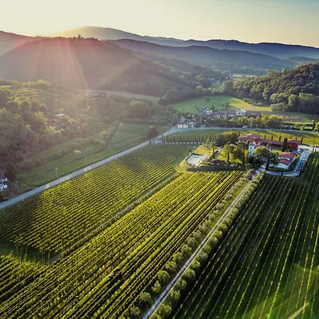 Il Roncal Wine - For Wine Lovers Only *
