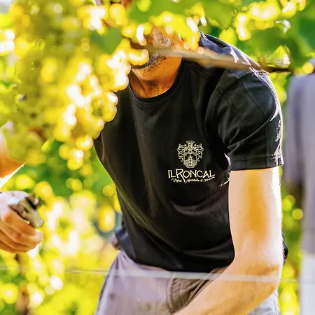 Il Roncal Wine - For Wine Lovers Only Lantgård Cividale del Friuli