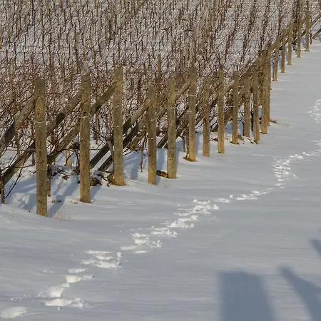 Farm stay Il Roncal Wine - For Wine Lovers *