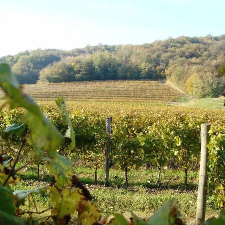 Bauernhof Il Roncal Wine - For Wine Lovers Only Cividale del Friuli