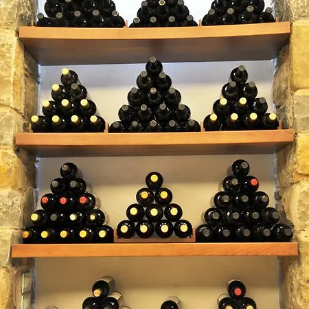 Il Roncal Wine - For Wine Lovers *