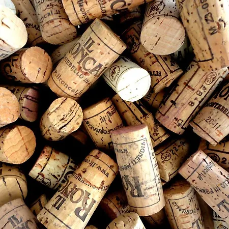 Alloggio per agriturismo Il Roncal Wine - For Wine Lovers Cividale del Friuli