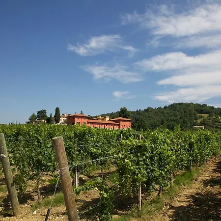 Il Roncal Wine - For Wine Lovers * Cividale Del Friuli
