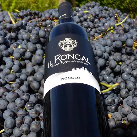 Il Roncal Wine - For Wine Lovers Only *