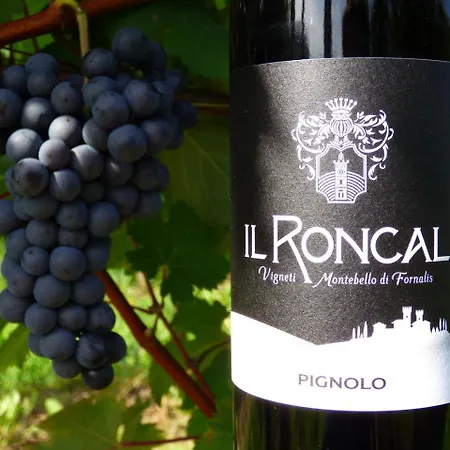 Farm stay Il Roncal Wine - For Wine Lovers *